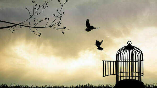 Comment vivre libre aujourd'hui ?