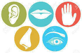 Les cinq sens, porte de l’intuition ?