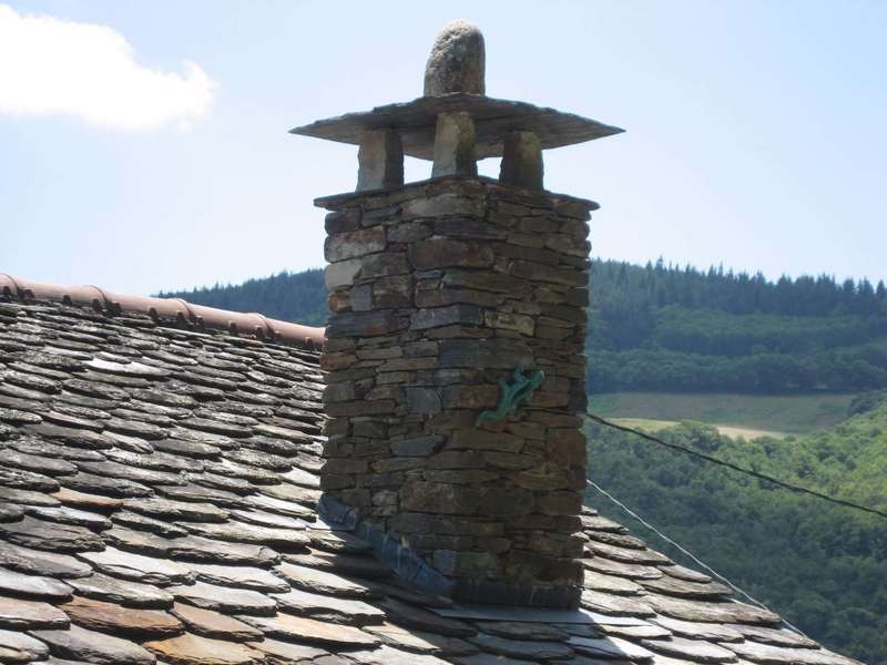 souche_chemine_ea1475