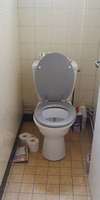 toilette-renovation