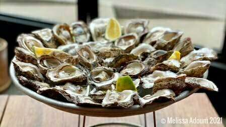 huitres_5