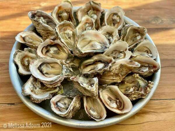 Nouvel Arrivage d'Huîtres !
