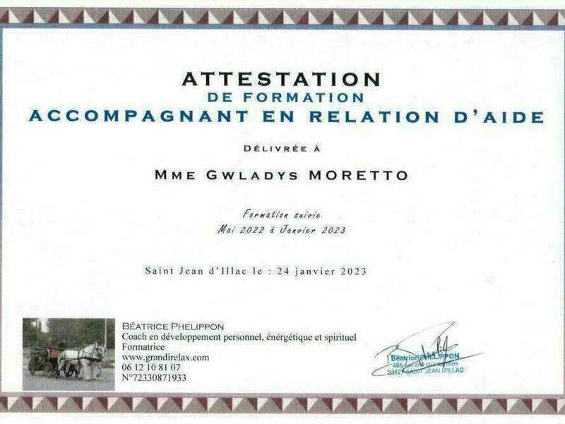 diplome_accompagnant_en_relation_d_aide