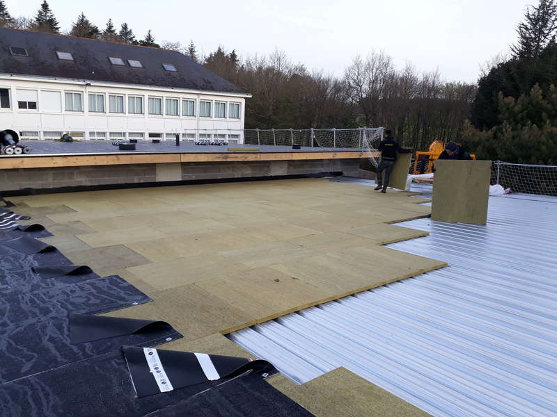 20190318_08491820190620-517136-4ieubp