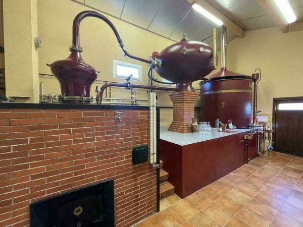 A la rencontre de producteurs de Cognac 