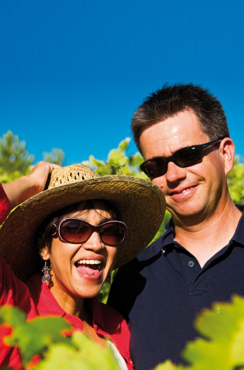 Domaine Clos de L'amandaie