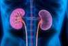 Pathologies rénales 