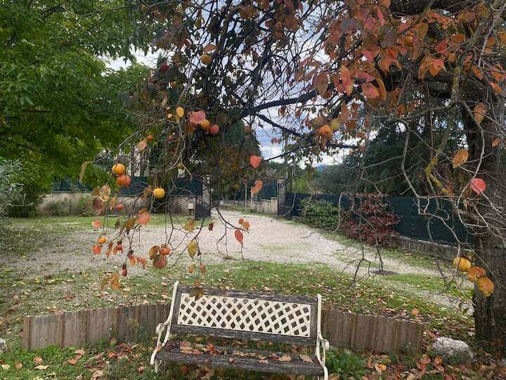 e745724f-850f-4cf8-bf66-a2e654d2e581