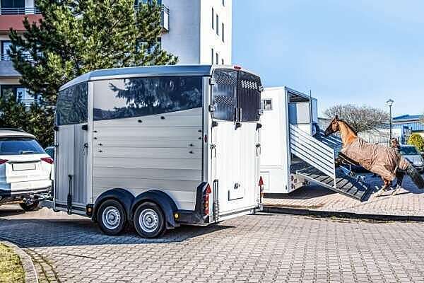 Véhicules dédiés au transport de chevaux : une déduction de TVA bien scellée !