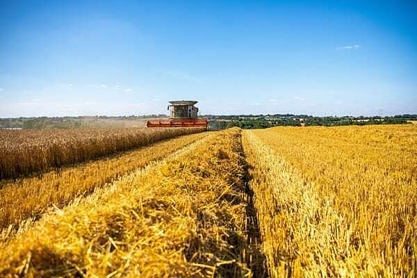 Secteur agricole : ce qui va changer en 2025