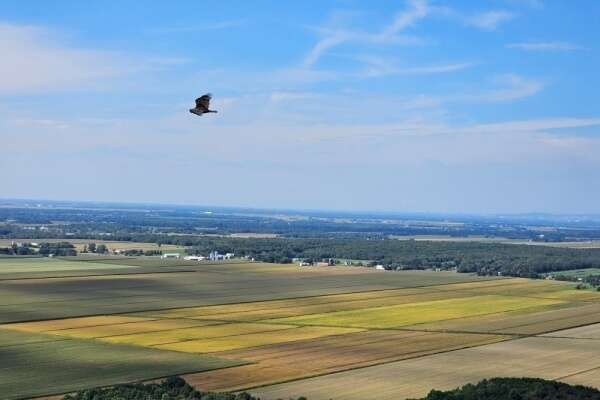 Indice national des fermages - Année 2025