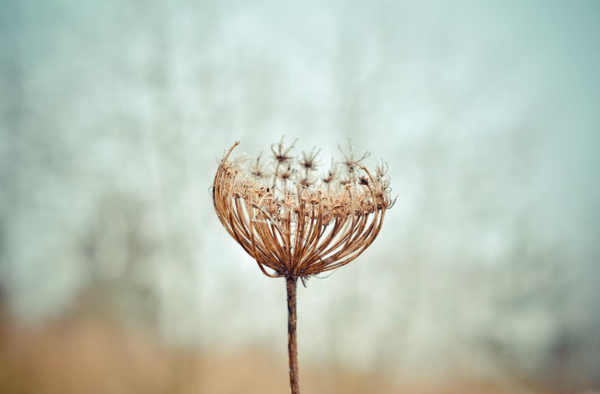 La Méthode Singulière : Osez être vous-même