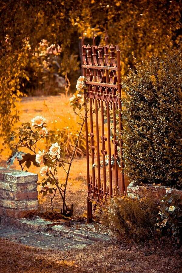 Finir l’année en étant aligné et commencer l’année en conscience en posant de nouvelles intentions