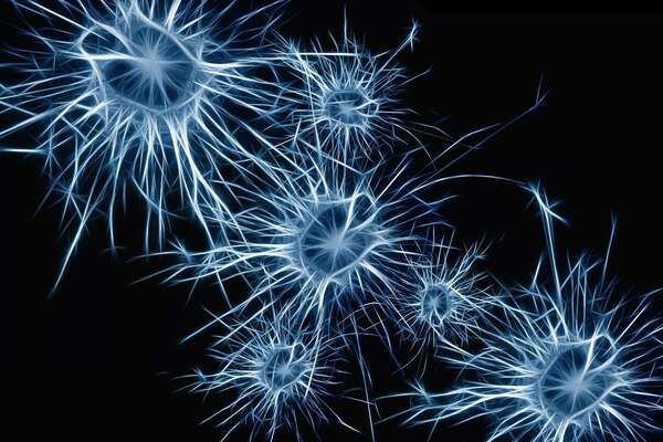 La ménopause commence-t-elle dans le cerveau plutôt que dans les ovaires ?