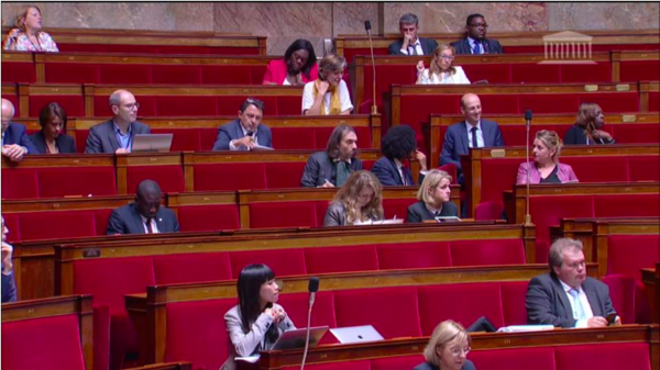 Adoption du projet de Loi ratifiant les ordonnances relatives à l’évaluation environnementale et l’information du public pour les décisions susceptibles d’avoir une incidence sur l’environnement 