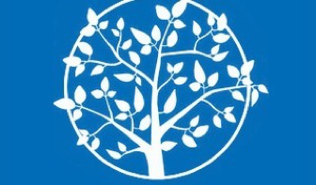 Réforme de l’attribution des aides au logement : le calcul des aides par rapport au revenu contemporain sera mis en place au printemps 2019 !