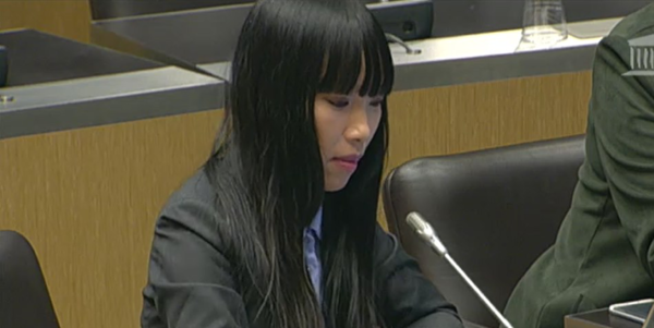 Mes questions à Mme Bonneau, VP de la Fédération nationale des producteurs de lait et à M. Brack, directeur, dans le cadre de la Commission d’enquête sur la situation et les pratiques de la grande distribution et ses groupements