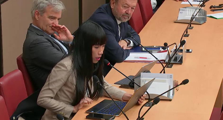 Ma question en Commission des affaires économique à M. Nicolas DUFOURCQ, directeur général de BPIFrance 
