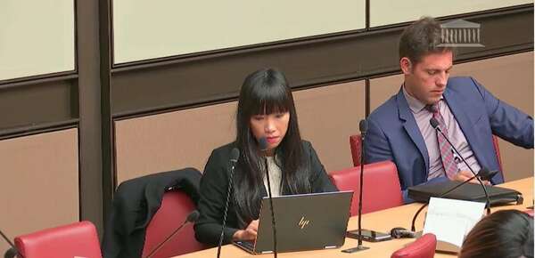 Ma question en Commission aux affaires économiques à Monsieur Jean-Dominique SENARD président du conseil d’administration de Renault