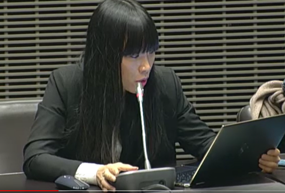 Stéphanie DO - Commission des affaires économiques du 11 décembre 2019 : Table ronde sur « le commerce physique et le commerce en ligne »