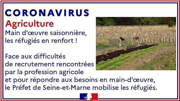 La Préfecture de Seine-et-Marne propose aux migrants réfugiés de participer au travail des agriculteurs contre rémunération