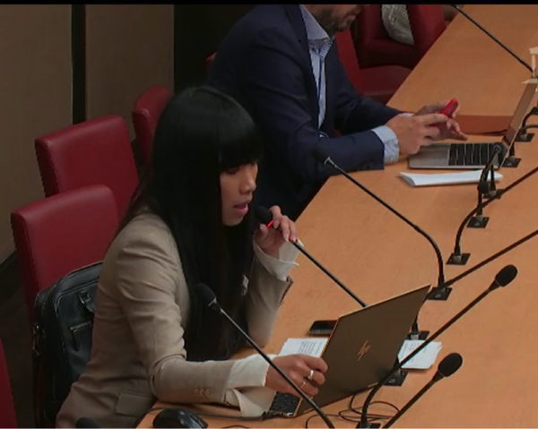 Ma question au nom des commissaires LREM de la commission des affaires économiques adressée aux deux rapporteurs de la mission d’information sur les plateformes numériques