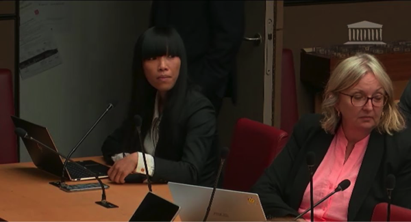 Ma question à Madame Isabelle Méjean, économiste, en Commission des affaires économiques