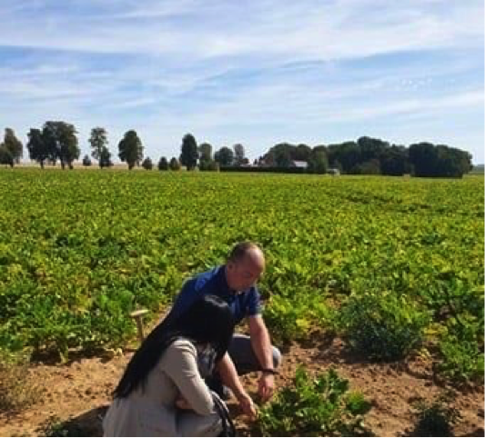Visite d’un champ de betteraves de Seine-et-Marne (la ferme de Saint-Faron, le Plessis-Placy) pour rencontrer des agriculteurs.