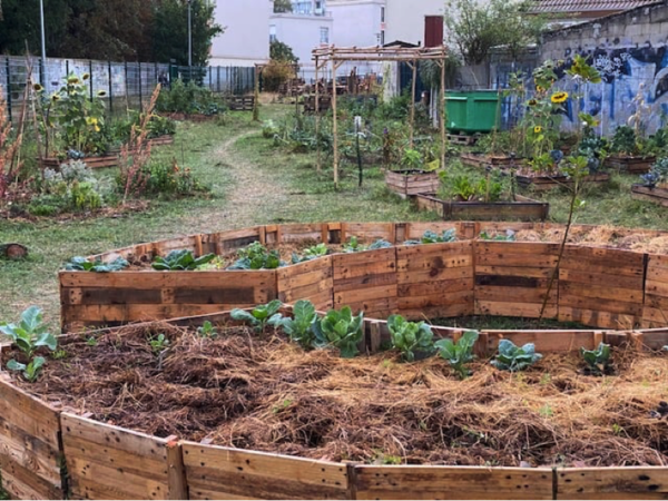 Ma visite à l’association « Graines Urbaines » de Chelles