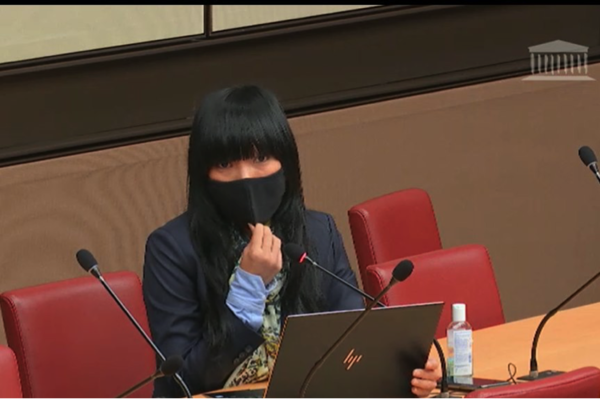 Ma question à M. Franck Riester, ministre délégué chargé du commerce extérieur en commission des affaires économiques