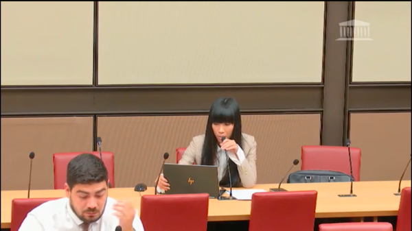 Stéphanie DO - Commission des affaires économiques le 24 juin 2020 - Rapport d’information sur les plateformes numériques