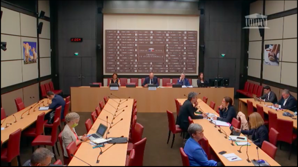Stéphanie DO - Commission des affaires économiques le 1 juillet 2020 - Mme Isabelle Méjean, économiste
