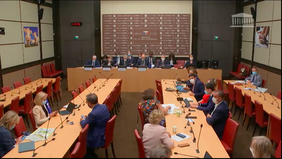 Stéphanie DO - Commission des affaires économiques le 28 juillet 2020 - Audition de M. Bruno Le Maire, de Mme Agnès Pannier-Runacher et de M. Alain Griset