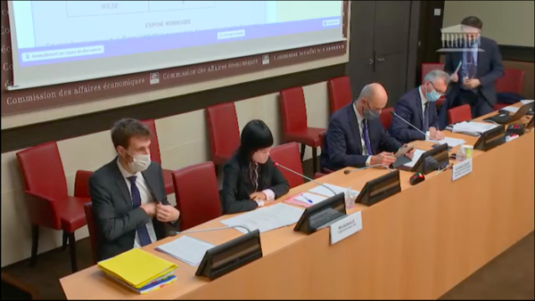 Stéphanie DO - Projet de loi de Finances pour 2021, la mission logement - 21 octobre 2020