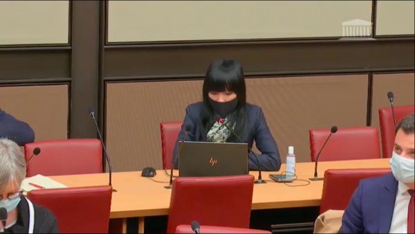 Stéphanie DO -  Commission des affaires économiques le 27 octobre 2020  M. Franck Riester, ministre délégué auprès du ministre de l’Europe et des affaires étrangères