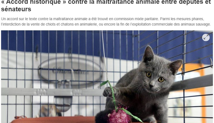 Un accord contre la maltraitance animale : une victoire pour la cause animale, proposition de loi de la majorité