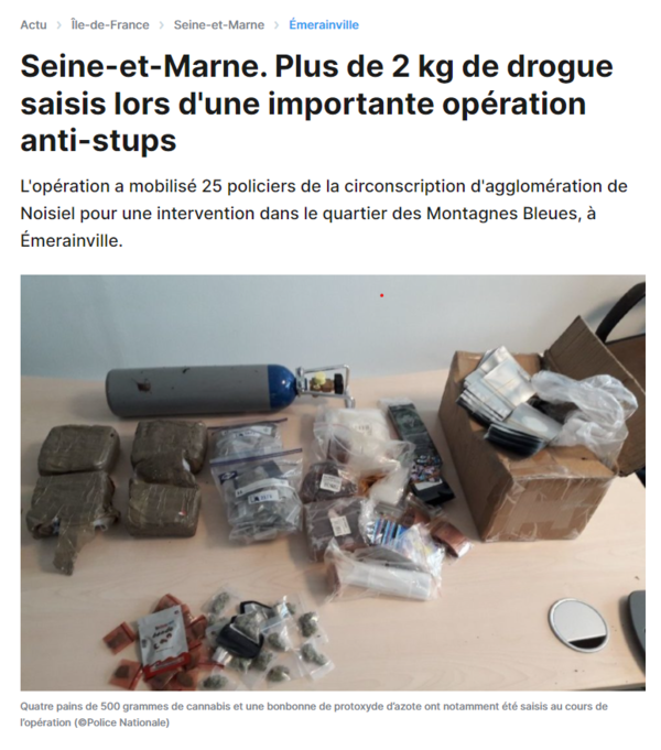 J'assiste à la saisine de plus de 2 kg de drogue lors d'une importante opération anti-stups à Emerainville