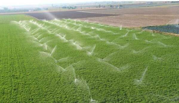 Le Gouvernement débloque des moyens exceptionnels pour lutter contre la sécheresse.