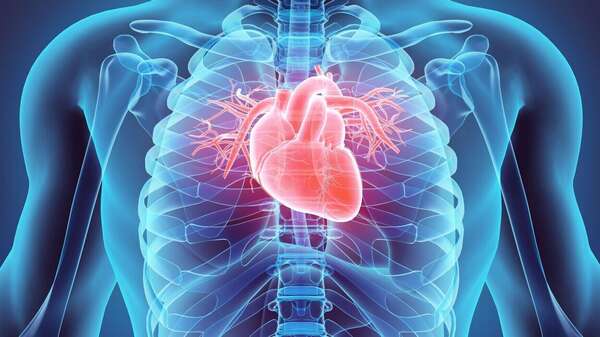 Prévention des endocardites infectieuses d’origine bucco-dentaire