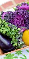 Florence Derouen-Poupin, Nutrition à Châteauneuf-sur-Loire