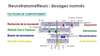 Diagramme bio flow neurosciences bienêtre physique psychique