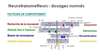 Diagramme bio flow neurosciences bienêtre physique psychique