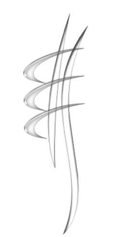 Chiropracteur Avignon