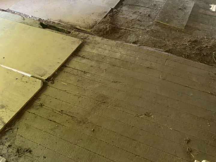 fb_img_1619516400206