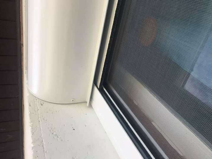 fb_img_1619517000632