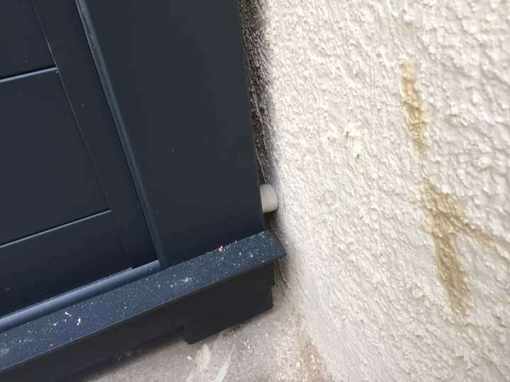 fb_img_1619516555024