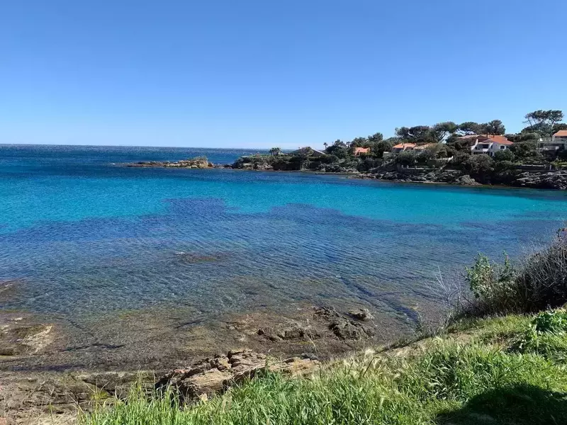 2d653cfe-83ee-4572-939f-696a25cd6c17