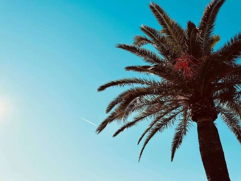 7105780b-daa0-4126-bd3c-a885e9c4f197