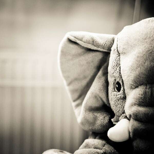 L'accompagnement du deuil périnatal