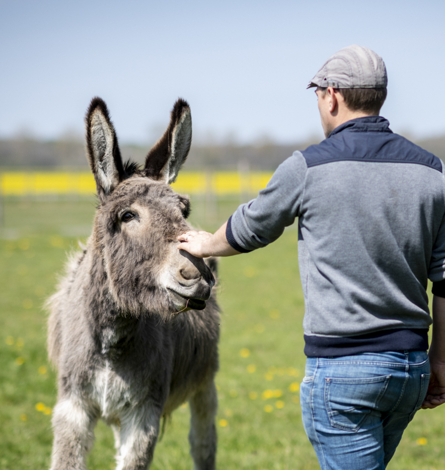 produits fermiers frais et variés sur une table en bois